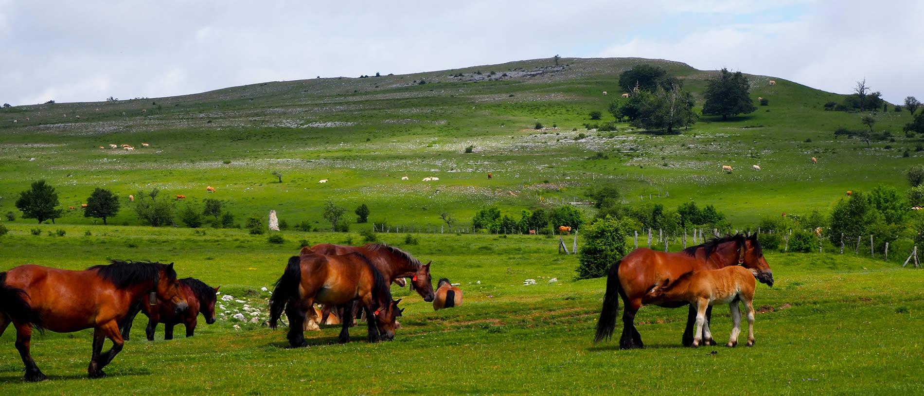 desarrollo-rural-lautada-landa-garapena-campas-legaire-slider